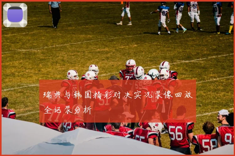 瑞典与韩国精彩对决实况录像回放全记录分析