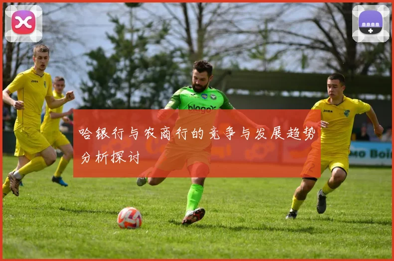 哈银行与农商行的竞争与发展趋势分析探讨