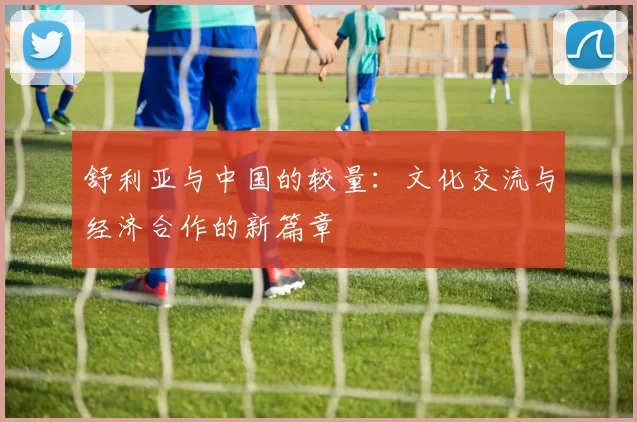 舒利亚与中国的较量：文化交流与经济合作的新篇章