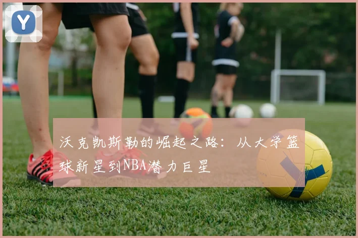 沃克凯斯勒的崛起之路：从大学篮球新星到NBA潜力巨星