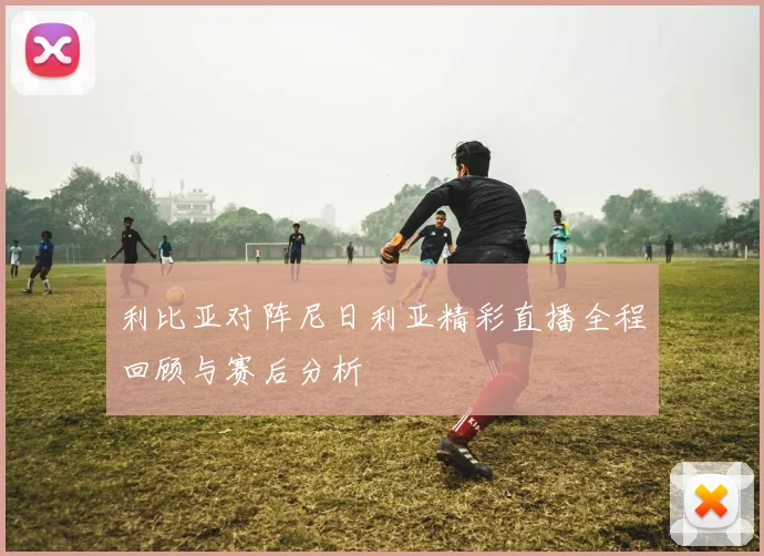 利比亚对阵尼日利亚精彩直播全程回顾与赛后分析