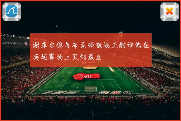 谢菲尔德与布莱顿激战正酣谁能在英超赛场上笑到最后