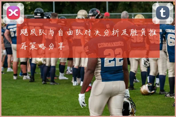 飓风队与自由队对决分析及胜负推荐策略分享