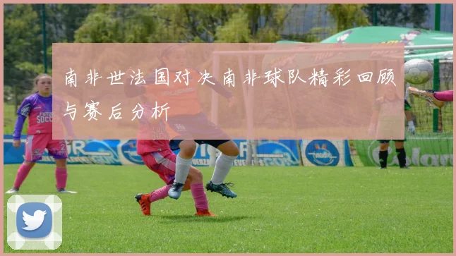 南非世法国对决南非球队精彩回顾与赛后分析